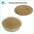 High Content Photosynthetic Bacteria For Poultry